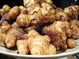 Jerusalem artichoke root