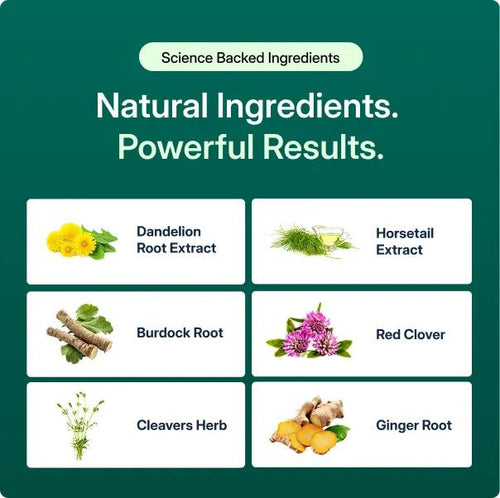 Golden Root Lymphatic Drainage Cleanse