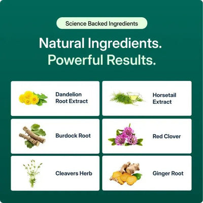 Golden Root Lymphatic Drainage Supplement - Golden Root